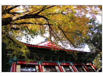 南師大英國留學(xué)，哪家機(jī)構(gòu)比較好