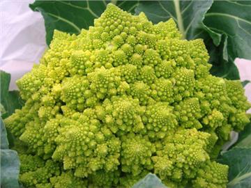 英國(guó)超市里的奇怪蔬菜，你喜歡吃的是哪個(gè)