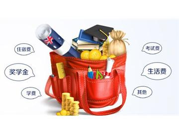 打算去英國(guó)讀高中，每年費(fèi)用大概多少