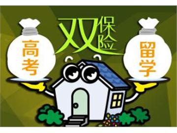高考+留學(xué)，這樣做才是雙保險(xiǎn)！