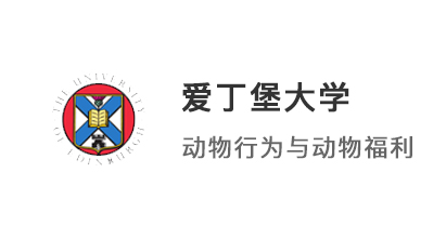 【碩士案例】雙非均分81冷門(mén)專(zhuān)業(yè)，考研后逆襲愛(ài)丁堡大學(xué)、KCL！